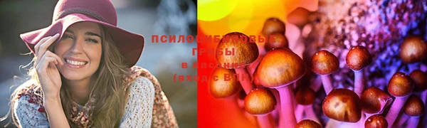a pvp Богданович