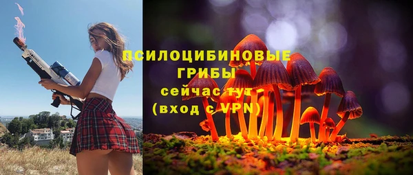 2c-b Богородск