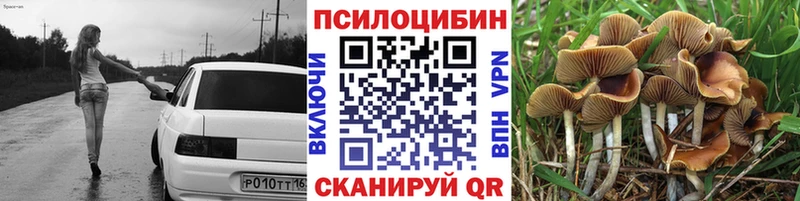 Галлюциногенные грибы GOLDEN TEACHER  Бирюсинск 